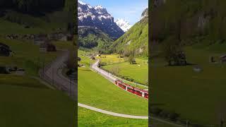 Switzerland Vlog | Switzerland | Switzerland Shorts | Switzerland 4K | Travel Switzerland | Travel