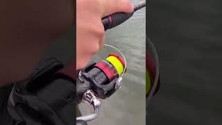 How to do a perfect cast #fishingvideo #fishing #boating #shorts @brockandashsadventures2659