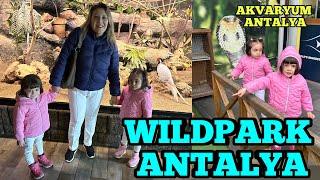 WILDPARK ANTALYA | ANTALYA AKVARYUM | ANTALYA GEZİSİ |ANTALYA'DA GEZİLECEK YERLER