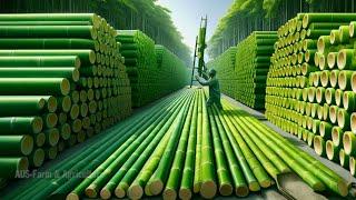 How Billions of Eco Friendly Products Are Made from Bamboo - You Won't Believe It