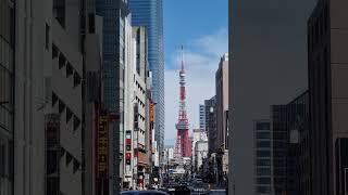 일본에 가고싶다.Tokyo street in japan#도쿄여행 #맛집 #travel #태국 #일본여행 #오사카 #도쿄여행