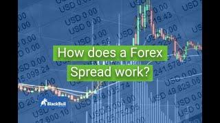 What is the Spread in Forex? | BlackBull Markets