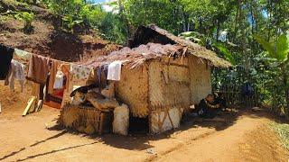 BERTAHAN HIDUP DAN BERTANI DI SAUNG TENGAH HUTAN JAWA BARAT