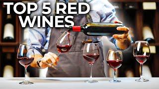 The Best Red Wines for Beginners