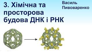 3. Хімічна та просторова будова ДНК і РНК