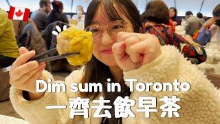 TORONTO VLOG｜ 一齊去飲早茶  Scarborough酒樓 燒賣好吃 去Costco行一圈 多倫多生活 | franfran