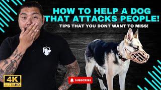 Fixing  A Dog With a BITE HiSTORY! Aggressive Dog Training That Actually Works!