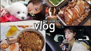 [일상vlog] 평일 내입으로 들어간 모든것들 _ 비빔밥+즉석 짜장떡볶이+한방족발+에그샌드위치+크로플+불멍+평일 간단식