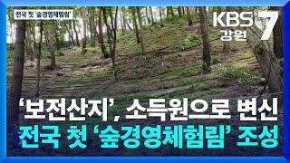 바라만 보던 ‘보전산지’, 소득원으로 변신…전국 첫 ‘숲경영체험림’ 조성 / KBS  2024.06.10.