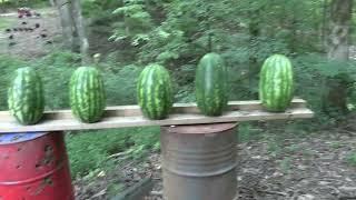 Colt Anaconda  44 Magnum VS Watermelons