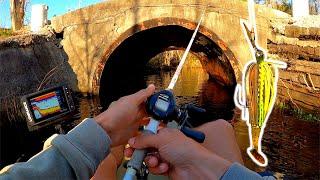 TUNNEL In The Swamp Was Loaded (Kayak Bass Fishing)