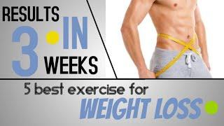 The 5 Best Exercises for Weight Loss || Loss Belly Fat In 14 Days Challenge