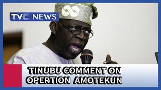 Ayodele Adewale dissects Tinubu's comment on Operation Amotekun