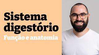 Sistema Digestório: Função e anatomia - Aula 19 - Módulo 7 - Fisiologia Humana - Prof. Guilherme