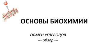 ОБМЕН УГЛЕВОДОВ - часть 1 - Просто о сложном - Химия