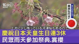 慶祝日本天皇生日連3休 民眾雨天參加祭典.賞櫻｜TVBS新聞