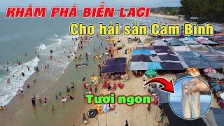 Sự Thật Chợ Hải Sản Cam Bình, Cá, Mực, Tôm, Ghẹ & Hải Sản Có Rẻ Như Lời Đồn || Du Lịch LAGI