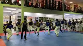 Elite martial arts