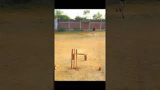 Yorker drill with tennis ball #cricket #practice #cricketshorts