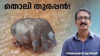 മാരകച്ചൊറിയുണ്ടാക്കും SCABIES MITES തൊലി തുരക്കുന്ന എട്ടുകാലി burrowing itch mite #malayalam #mites