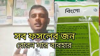 কোন নিয়মে বরণ সার ব্যবহার করলে ভালো রেজাল্ট হবে