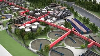 Zurich Werdhoelzli: How does a sewage treatment plant work?