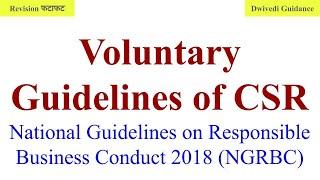 Voluntary Guidelines of CSR, National Guidelines on Responsible business conduct 2018, NGRBC, ethics