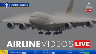 LIVE Los Angeles (LAX) Airport Plane Spotting From The H HOTEL! (November 26th, 2024)