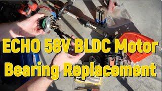 ECHO 58V Trimmer BLDC Motor Bearing Replacement