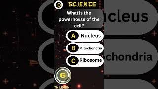 The powerhouse of the cell #science #knowledge #shorts