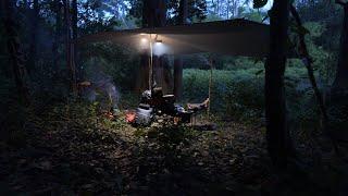 Fishing Adventure ad cook sleeping in the forest មកបបក់ត្រីនីបឹងតាឌៀវ នឹងចម្អិនម្ហូប