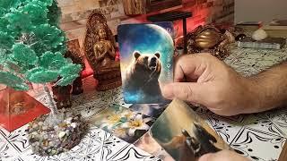  A PESSOA AMADA já te superou? 32 98809-8720 #umbanda #tarotdehoje #mensagemdodia #previsoes pre