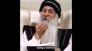 OSHO: How Everything that Is Ugly Can Disappear from Your Life