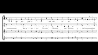 Guillaume Dufay - Vasilissa ergo gaude [Isorhythmic motet]