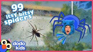 Woman Who’s Afraid Of Spiders Has To Become A Spider Rescuer! | Dodo Kids | Rescued!