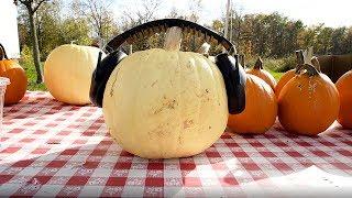 Carving Pumpkins at Luther's Farm