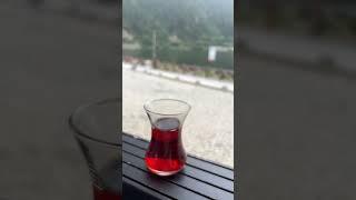 #chailover #chai #tea #teapoetry #turkishtea #shorts #viral #trending chai pe shayari