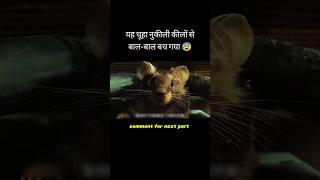 यह चूहा नुकीली कीलों से बाल-बाल बच गया  hollywood movies explained in hindi #shorts #shortsfeed