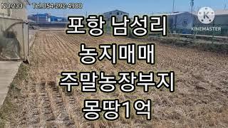 포항 대송면 남성리 농지매매 농가주택 주말농장 추천