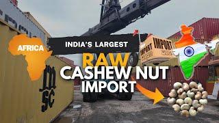 Importing Raw Cashew Nut From Africa - Tuticorin CFS