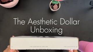 The Aesthetic Dollar Unboxing