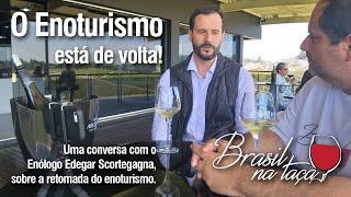 O Enoturismo está de volta!