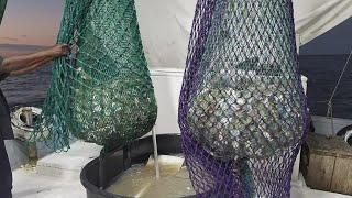 Southeast Texas shrimpers struggling to survive due to influx of imported shrimp