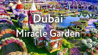 Парк цветов в Дубае | Dubai Miracle Garden | Сад Чудес | Дубай 2023