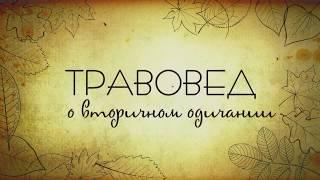 Травовед. О вторичном одичании. Рассказывает Моряков Сергей Викторович