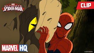 Spider-Man and Wolverine vs. Dinosaurs  | Ultimate Spider-Man | @MarvelHQ