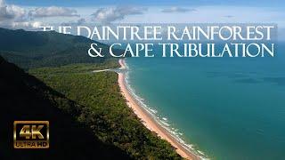 AUSTRALIA'S DAINTREE RAINFOREST & CAPE TRIBULATION [4K UHD] - Relaxing nature, coast and aerial film