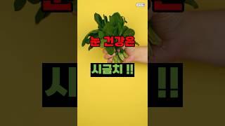 시금치!! 알고먹자!