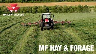 MF Hay & Forage