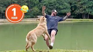 FUNNIEST Pets of 2024...So Far  | BEST Compilation